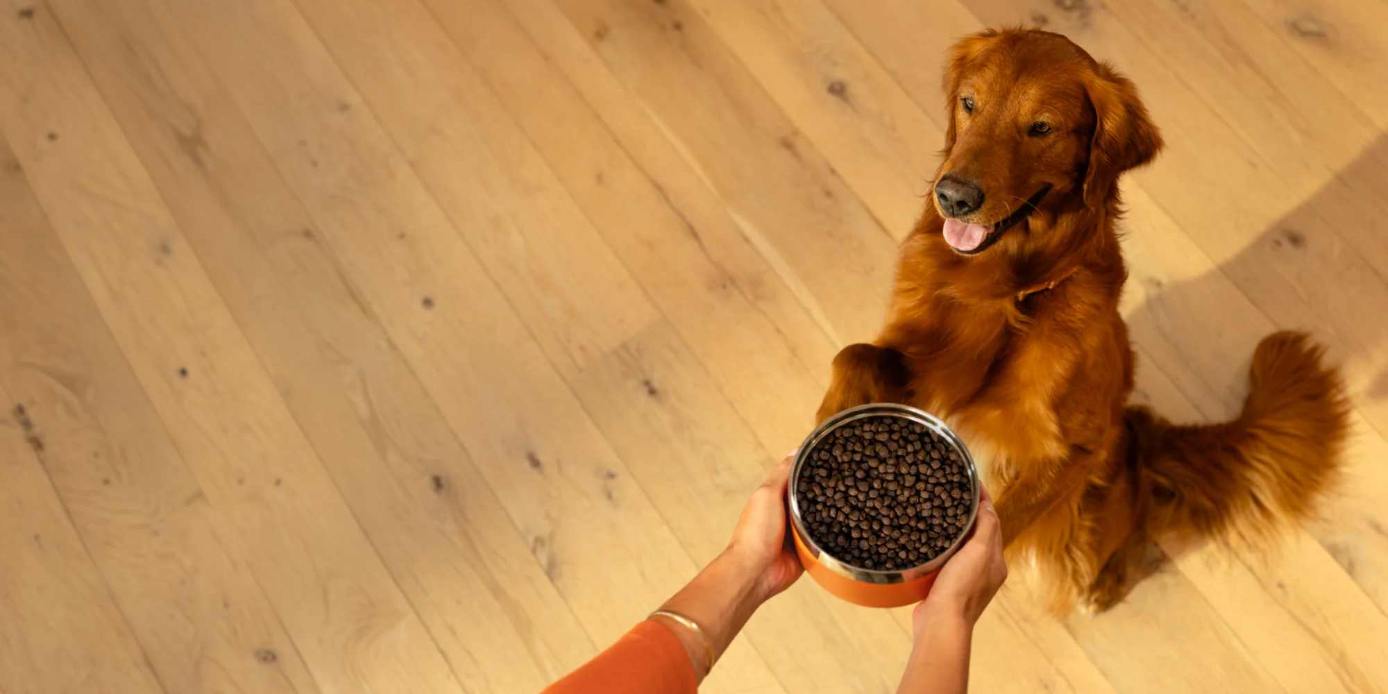Nurturing Bonds Through Natural Nutrition